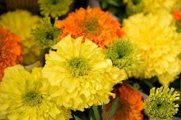 Yellow and orange marigold flowers