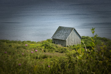 Fototapeta na wymiar Little barn in a field