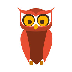 Owl cartoon icon. Bird animal and nature theme. Isolated design. Vector illustration