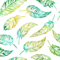 Hand drawn feathers seamless pattern © sablegear