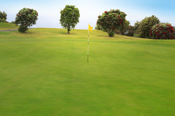 Obraz premium Golf course
