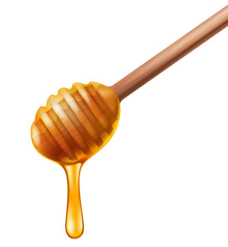 Wooden honey dipper, vector illustration.