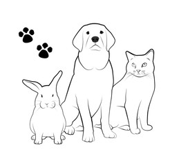 Fototapeta premium Pet Shop