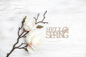 spring background with nice flowers on white wooden subsoil