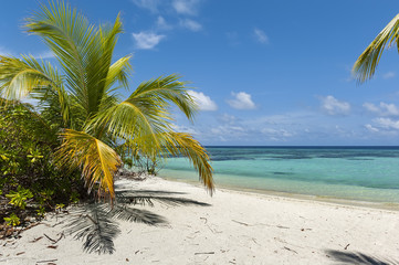 Maldives.