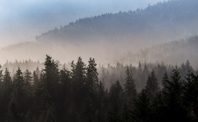 Foggy Ridge Lines, Joyce Valley, Washington State