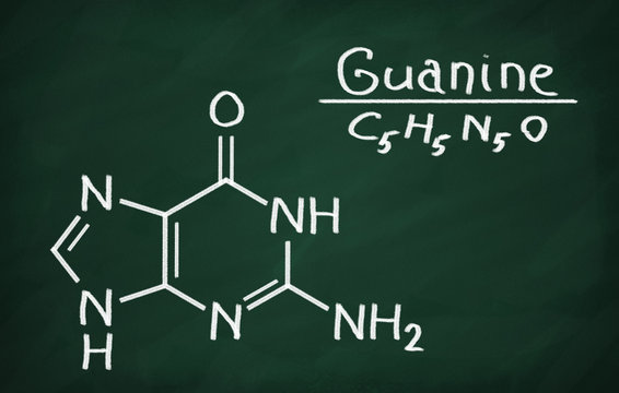Structural model of Guanine