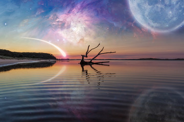 Fototapety na wymiar - Fototapeta24.pl
