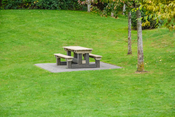 Picnic table and benches on green lawn in a park