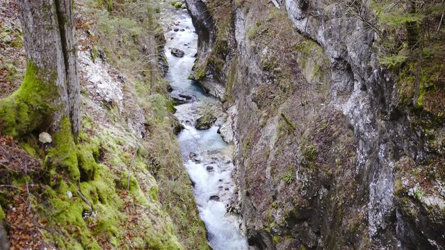 Green canyon river flowing in Slovenia top view 4K
