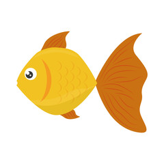 multi color fish icon image vector illustration design 