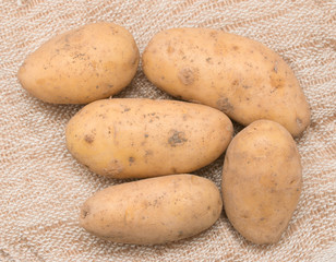 fresh potatoes on sacking