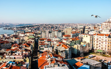 Obraz premium View of Istanbul rooftops from the Galata Tower, Turkey.