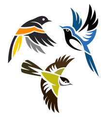 Obraz premium Stylized Birds - Warblers