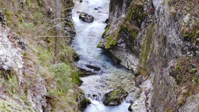 Tilting down the river between deep green canyon long shot 4K
