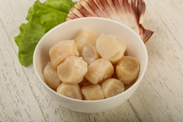 Raw scallops heap