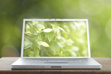Aluminum Laptop on the green bokeh