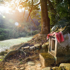 Village deity temple under a big tree next to the farmland