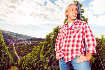 Winemaker Standing By His Vineyard