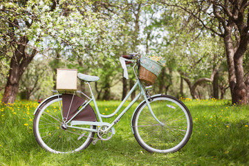 Fototapeta na wymiar Retro Vintage bike in spring summer garden, girl's bike, hipster, instagram