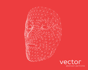 Vector illustration of human face