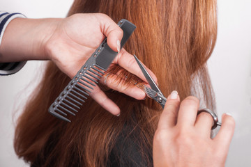 hairdresser cuts  brown-haired person hair holding a hairbrush