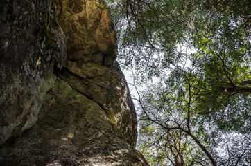 National Park Nahuelbuta, South of Chile.