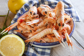 Fresh seafood, crayfish and prawns