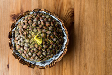 Hazelnuts in the net. copy space.