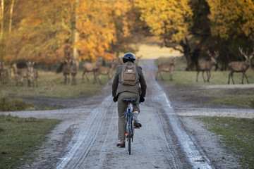 Man on bike