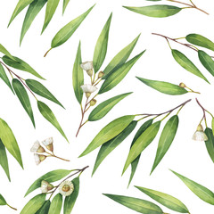 Watercolor vector seamless pattern with eucalyptus leaves and branches.