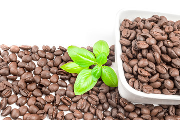 Pile of roasted coffee beans