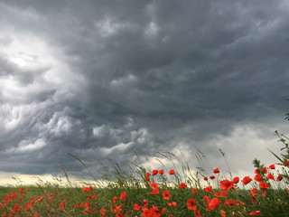Sturm über Rheinhessen