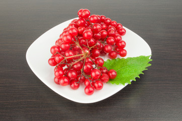 Bunches of red viburnum
