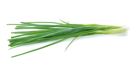 green onions isolated on white.