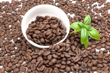 Brazilian coffee