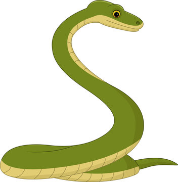 Snake cartoon 