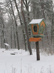Fairy-tale house in a forest in winter
