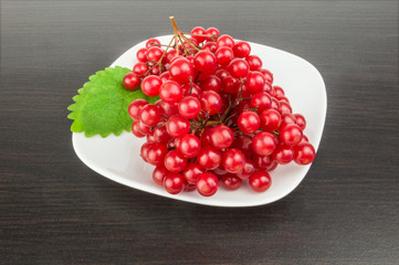 Bunch of red berries- guelder rose