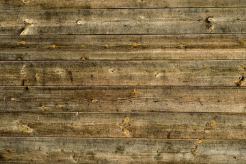 Natural wooden plank