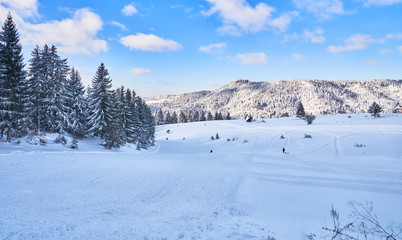 Obraz premium mountain ski