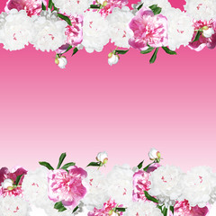 Fototapeta na wymiar Beautiful floral background with white and pink peonies 