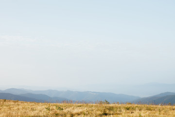 Obraz premium ukrainian carpathian mountains. Beautiful mountain landscape.