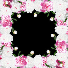Beautiful floral background with white and pink peonies 