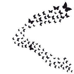 beautiful butterflies, isolated on a white