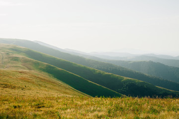 Fototapeta premium ukrainian carpathian mountains. Beautiful mountain landscape.