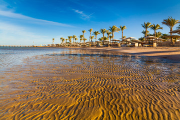 Beautiful sandy beach with palm trees at sunset. Egypt © Anton Petrus