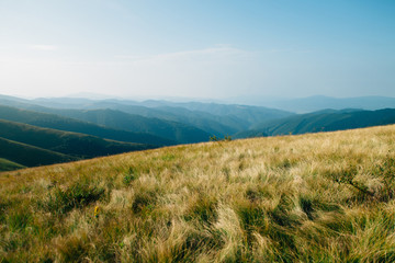 ukrainian carpathian mountains. Beautiful mountain landscape.