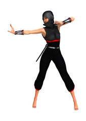 3D Rendering Female Ninja on White © photosvac