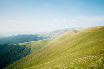 Fototapeta premium ukrainian carpathian mountains. Beautiful mountain landscape.